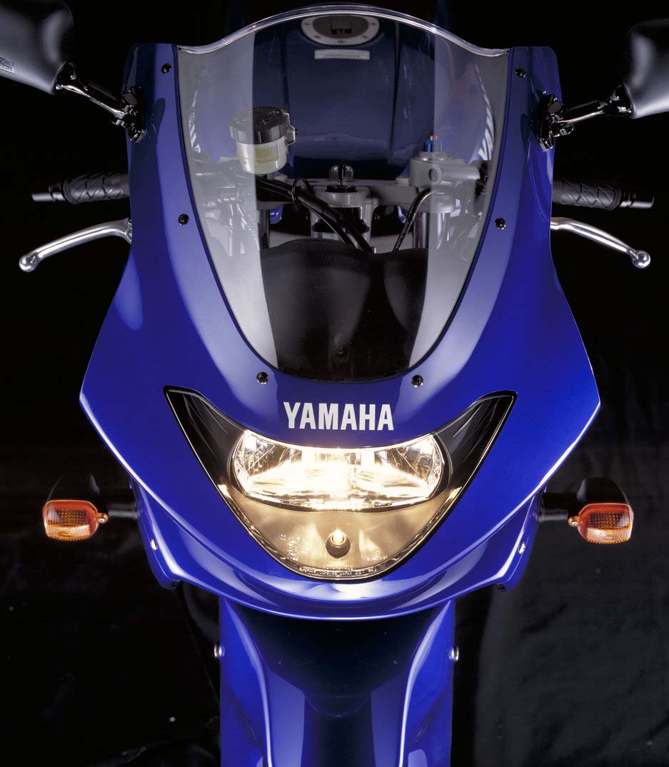 2005 - 2007 Yamaha YZF 600R Thunder cat